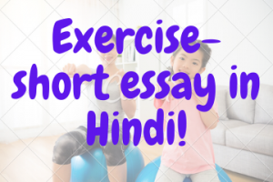 Exercise- short essay in Hindi