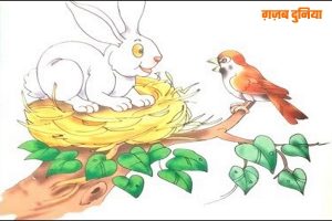 ख़रगोश और तीतर की कहानी- story in hindi